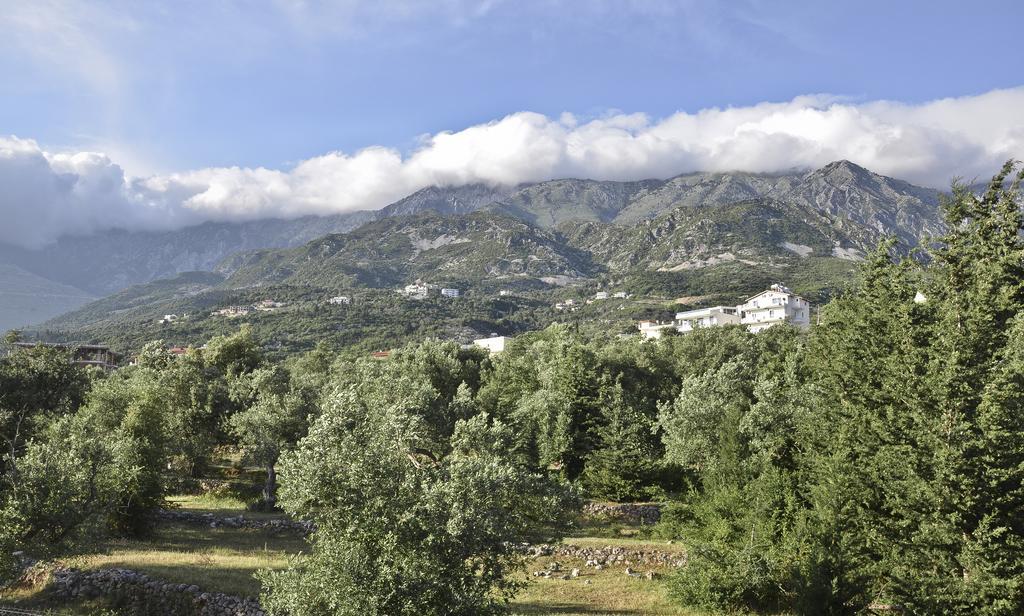 Perivolos Apartments Dhermi Bagian luar foto