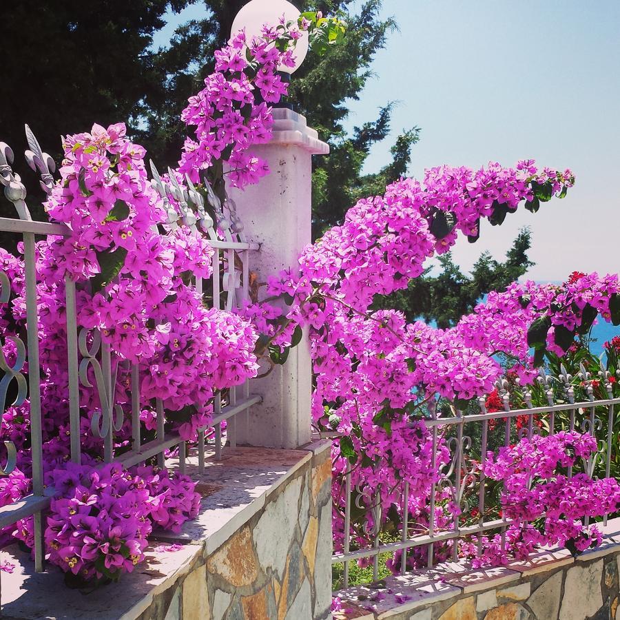 Perivolos Apartments Dhermi Bagian luar foto